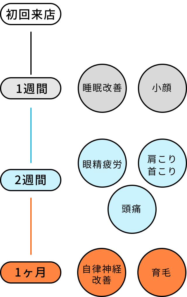 ヘッドミントの統計データ